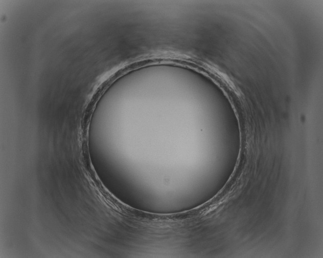 X0000087041264200704180928