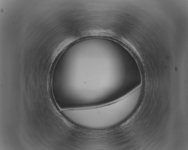X0000087041277200704180928