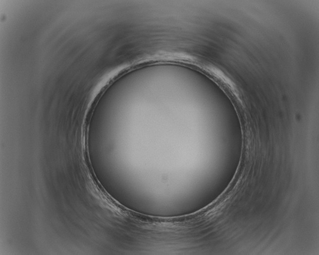 X0000087041280200704180928