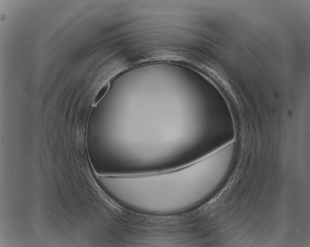 X0000087041281200704180928