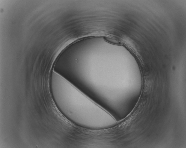 X0000087041284200704180928