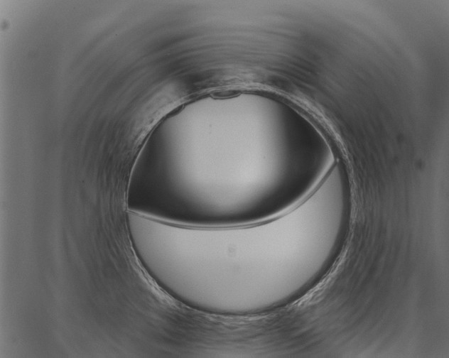 X0000087041289200704180928