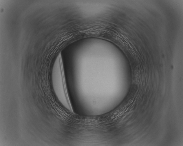 X0000087041297200704180927