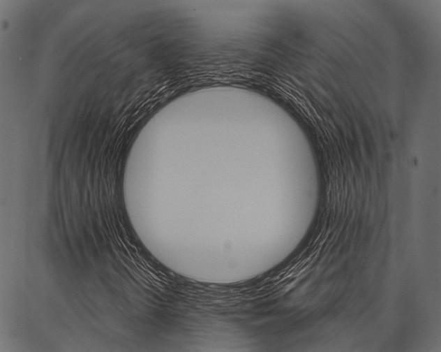 X0000087041298200704180927