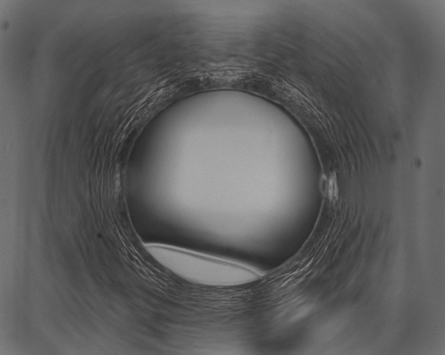 X0000087041299200704180927