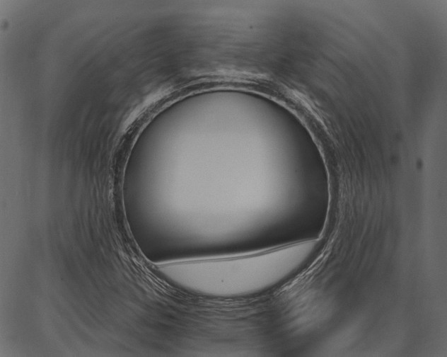 X0000087041307200704180927