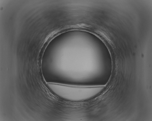 X0000087041308200704180927