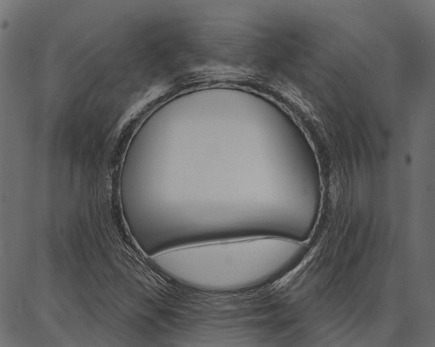 X0000087041309200704180927