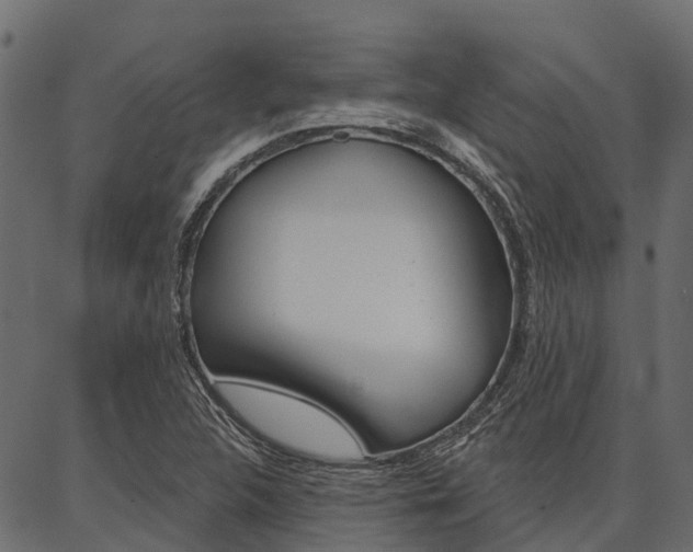 X0000087041312200704180927