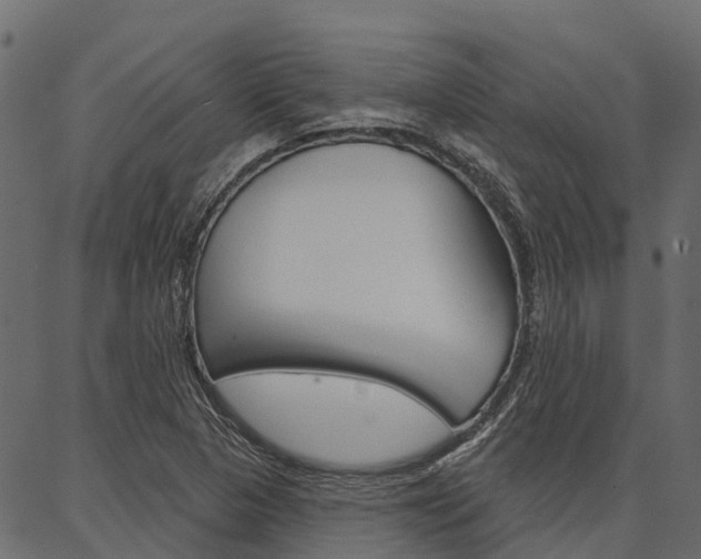 X0000087041313200704180927