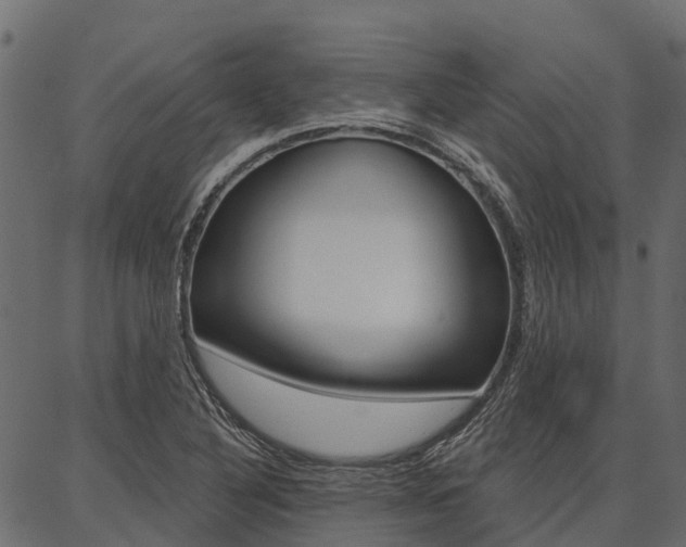 X0000087041316200704180927
