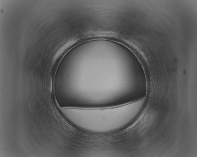 X0000087041317200704180927