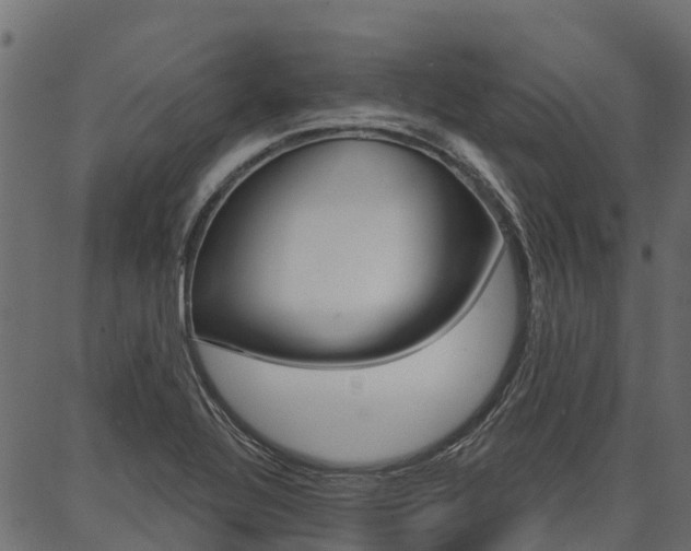 X0000087041320200704180927