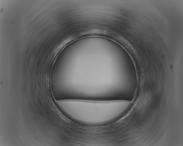 X0000087041321200704180927