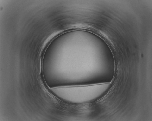 X0000087041323200704180927
