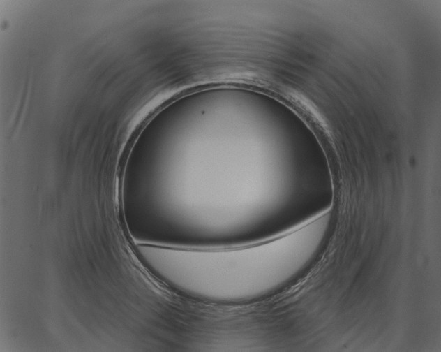 X0000087041324200704180927