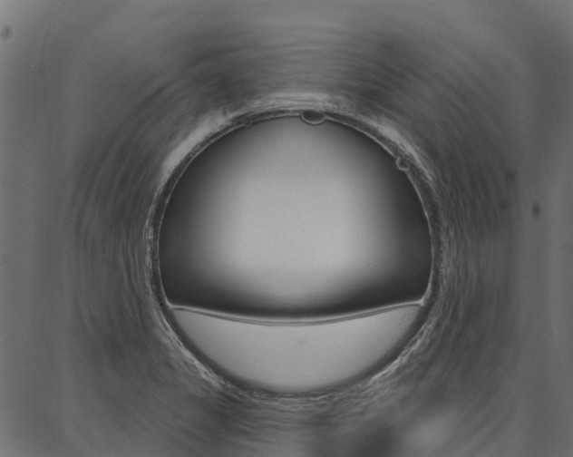 X0000087041325200704180927