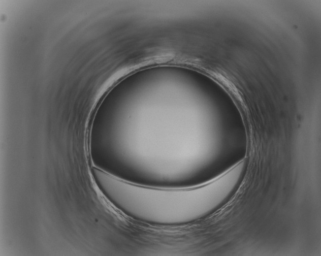 X0000087041342200704180928