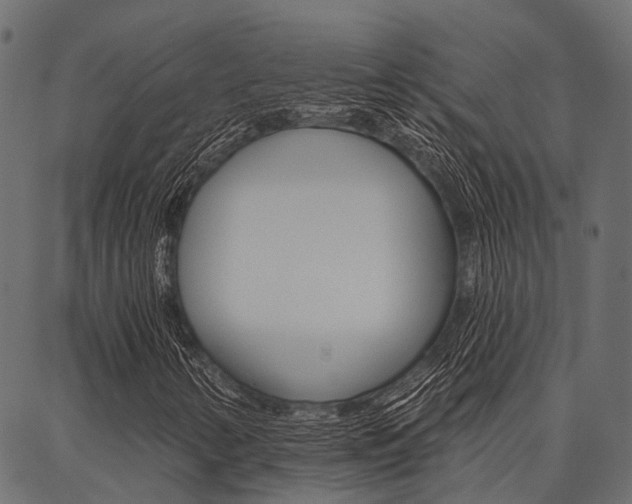 X0000087041346200704180927