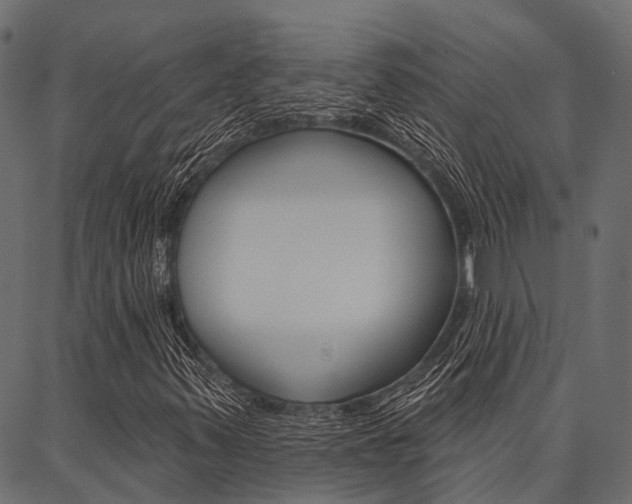 X0000087041347200704180927