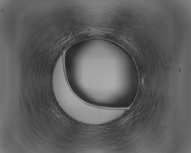 X0000087041348200704180927