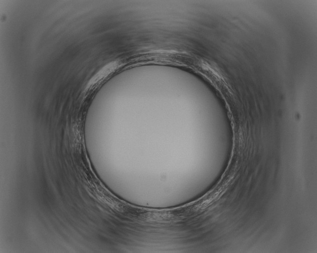 X0000087041354200704180927