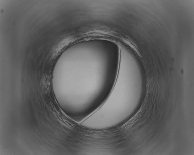 X0000087041355200704180927