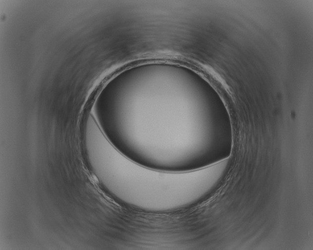 X0000087041364200704180927