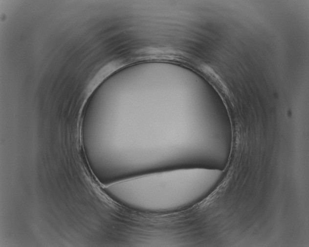 X0000087041370200704180926