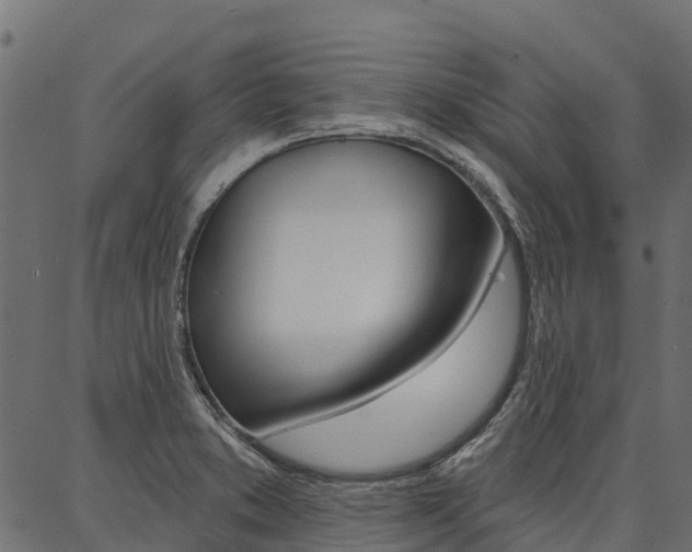 X0000087041373200704180926