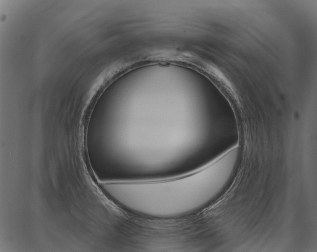 X0000087041376200704180926