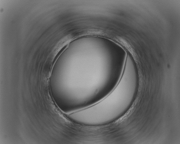 X0000087041377200704180926