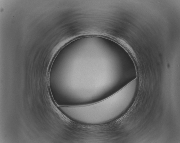 X0000087041380200704180926