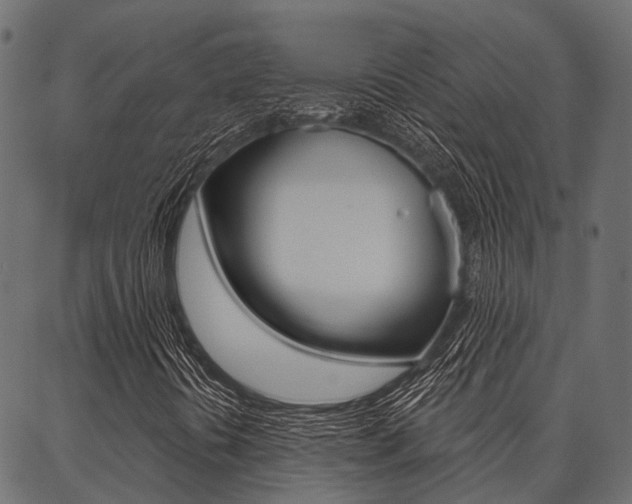 X0000087041394200704180925