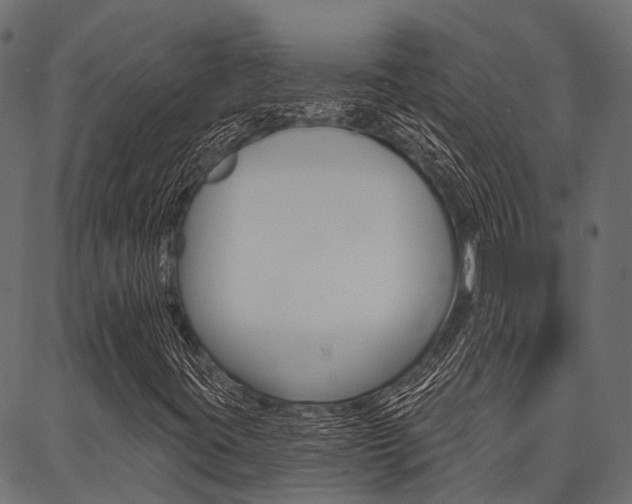 X0000087041395200704180925
