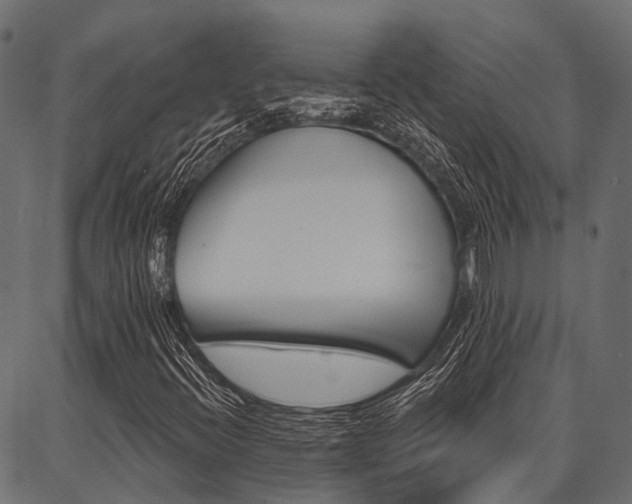 X0000087041396200704180925