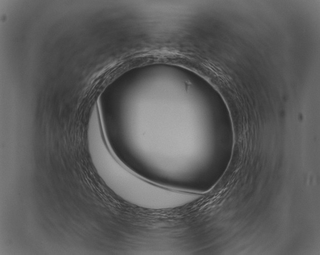 X0000087041398200704180925