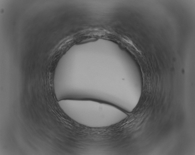 X0000087041399200704180925