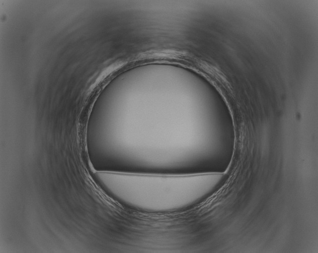 X0000087041404200704180925