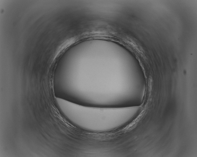 X0000087041405200704180925