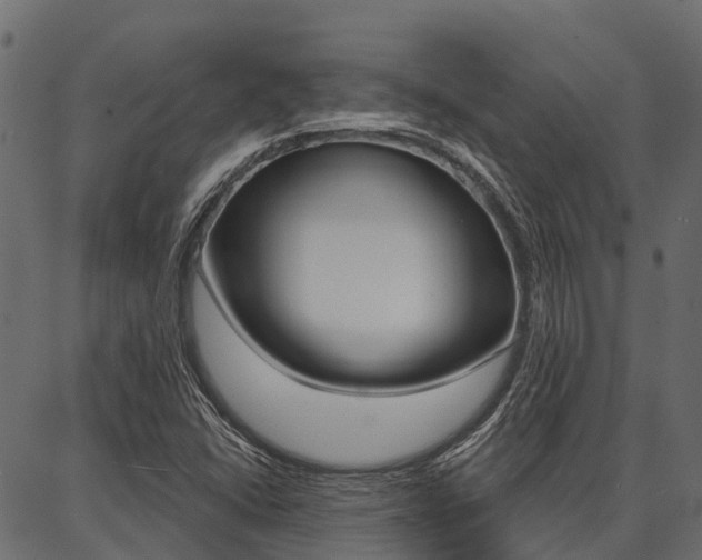X0000087041406200704180926