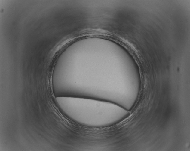 X0000087041407200704180926