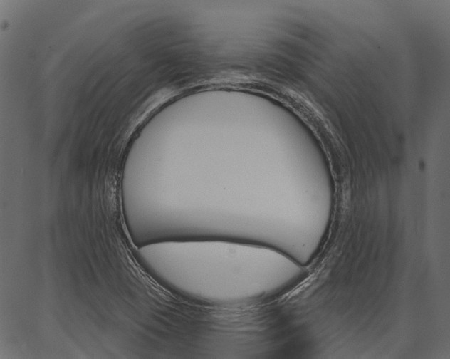 X0000087041409200704180926