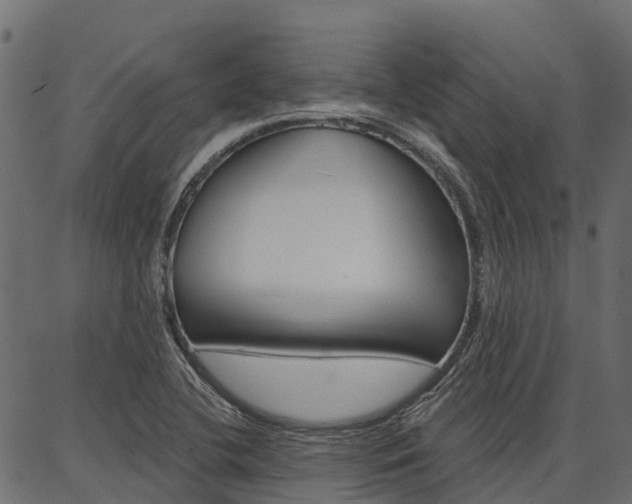 X0000087041412200704180926