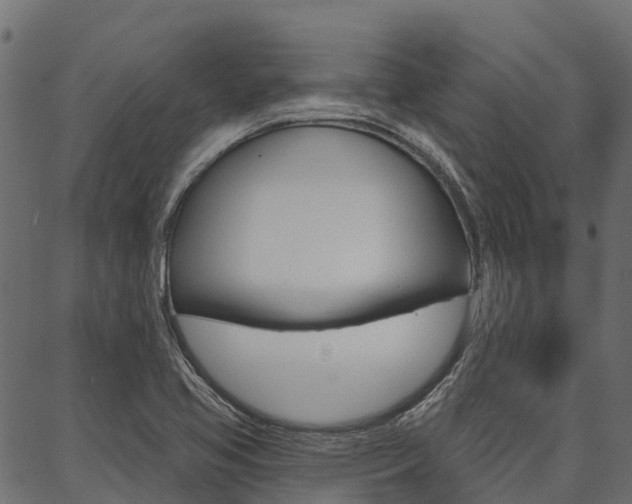 X0000087041413200704180926