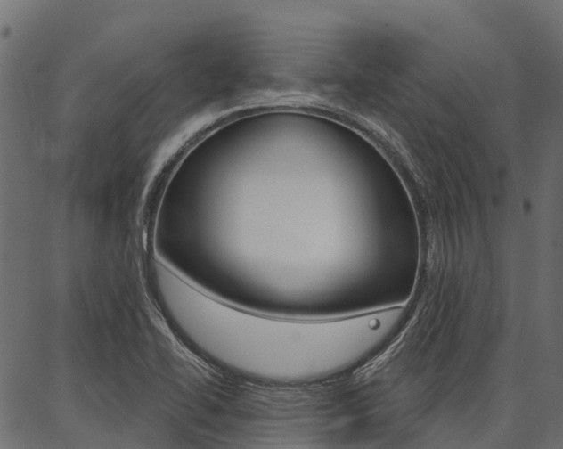 X0000087041414200704180926