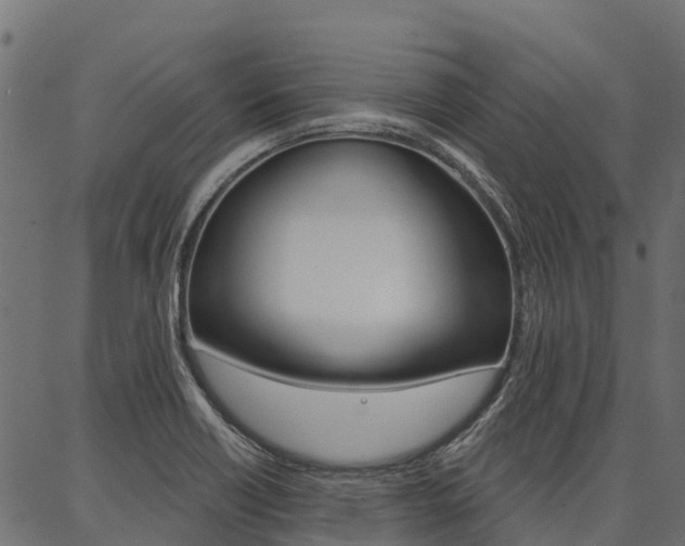 X0000087041418200704180926
