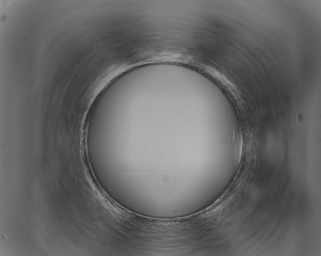 X0000087041423200704180926