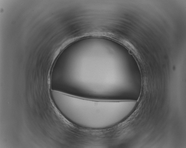 X0000087041428200704180926