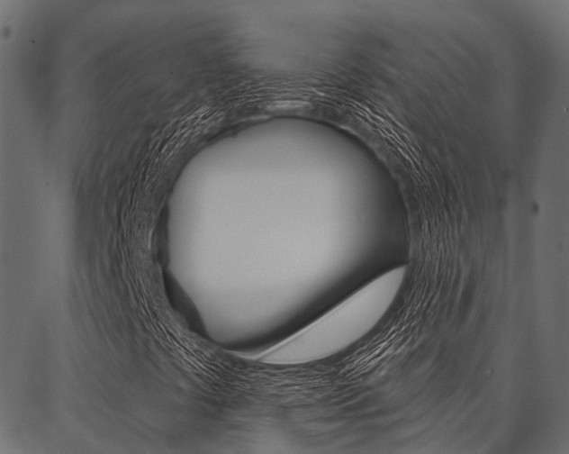 X0000087041441200704180925